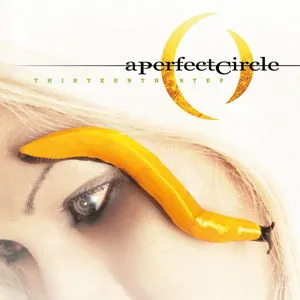 A Perfect Circle  Thirteenth Step (Music On Vinyl) (Arrives in 21 Days)