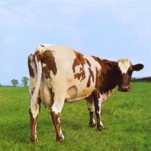 Atom Heart Mother By Pink Floyd (Arrives in 4 days) hi-fi aptX HD bluetooth,hi-fi WiFi speakers,hi-fi stereo output