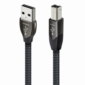AudioQuest Carbon USB-A to USB-B Digital Audio Cable (9.84 ft.)