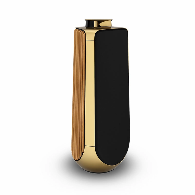 Bang & Olufsen Beolab 50 High-end Active Loudspeaker