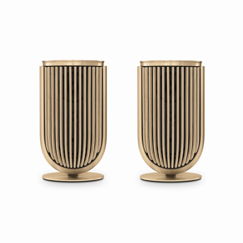 Bang & Olufsen Beolab 8 - Compact Wireless Speaker (Each)