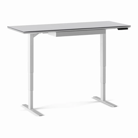 BDI Centro 6451-2 Height Adjustable Standing Desk (60"x24")