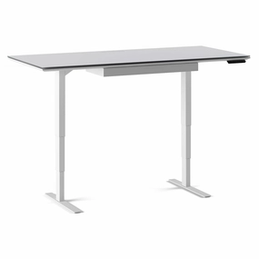 BDI Centro 6452-2 Height Adjustable Standing Desk (66"x30")