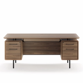 BDI LINQ 6821 Executive Desk (Natural Walnut)