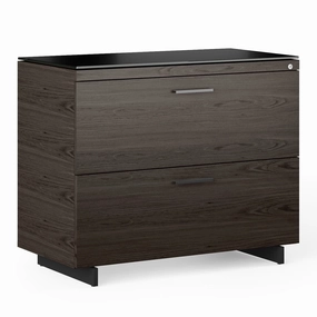 BDI Sequel 20 6116 Lateral File Cabinet (Charcoal/Black)