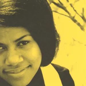 Bettye Swann  Bettye Swann (Music On Vinyl) (Arrives in 21 Days) hi-fi linear power supply,hi-fi digital coaxial input,hi-fi speaker selector