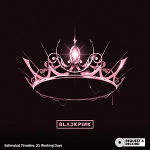 BLACKPINK C The Album (Arrives in 21 days) hi-fi speaker damping kit,hi-fi panel absorber,hi-fi bass trap