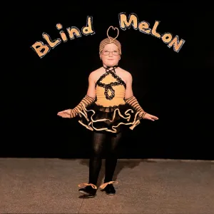 Blind Melon  Blind Melon (Arrives in 21 days) hi-fi linear power supply,hi-fi digital coaxial input,hi-fi speaker selector