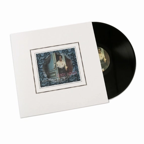 Blonde Redhead: Misery Is a Butterfly Vinyl LP hi-fi portable DAC,hi-fi desktop DAC,hi-fi headphone stand