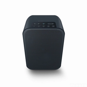 Bluesound Pulse Flex 2i Wireless Airplay 2 Speaker (Each) hi-fi analog preamp,hi-fi dynamic range audio,hi-fi stereo for TV
