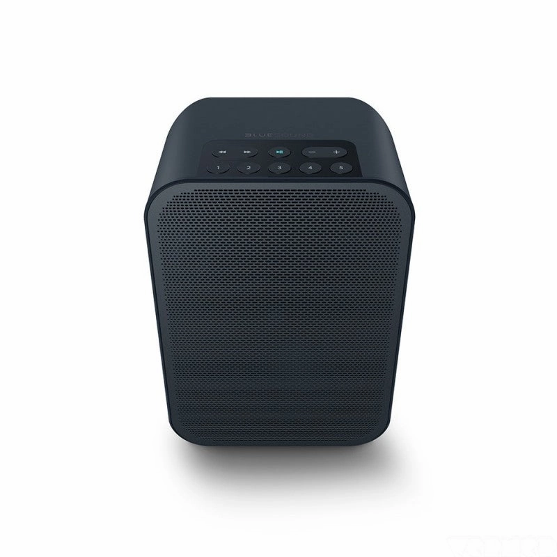 Bluesound Pulse Flex 2i Wireless Airplay 2 Speaker (Each) hi-fi analog preamp,hi-fi dynamic range audio,hi-fi stereo for TV