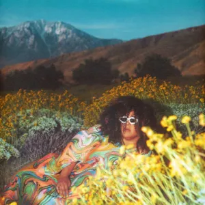 Brittany Howard  What Now (Arrives in 21 Days)