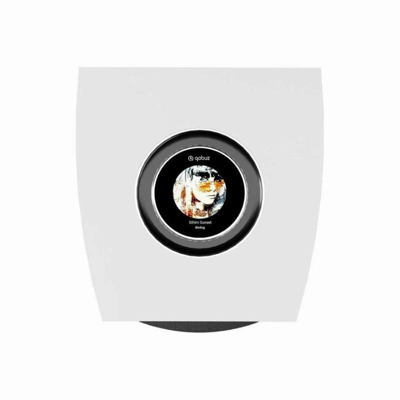 Cabasse Rialto Wireless Bookshelf Speaker (Pair)