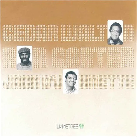 Cedar Walton / Ron Carter / Jack DeJohnette Cedar Walton / Ron Carter / Jack DeJohnette (Music On Vinyl) (Arrives in 21 Days) hi-fi linear power supply,hi-fi digital coaxial input,hi-fi speaker selector