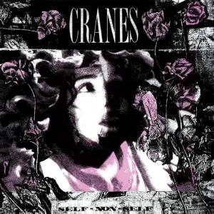 Cranes C Self-Non-Self (Music On Vinyl) (Arrives in 21 Days) hi-fi signal splitter,hi-fi line out converter,hi-fi compact stereo