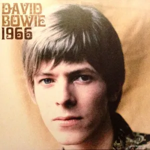 David Bowie C 1966  (Arrives in 4 Days) hi-fi speaker damping kit,hi-fi panel absorber,hi-fi bass trap