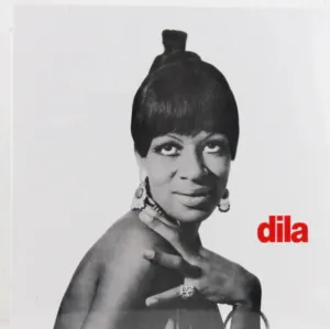 Dila C Dila (Mr Bongo) (Arrives in 30 Days) hi-fi analog input amp,hi-fi Bluetooth 5.0 amp,hi-fi tube amp with bluetooth