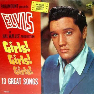 ELVIS PRESLEY-THE PREMIUM PICTURE DISC COLLECTION - LP  (Arrives in 4 Days) hi-fi radio tuner,hi-fi analog radio,hi-fi stereo cabinet with shelves