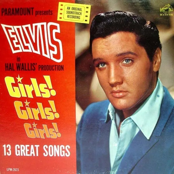 ELVIS PRESLEY-THE PREMIUM PICTURE DISC COLLECTION - LP  (Arrives in 4 Days) hi-fi radio tuner,hi-fi analog radio,hi-fi stereo cabinet with shelves
