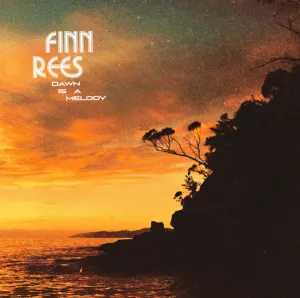 Finn Rees  Dawn Is A Melody (Mr Bongo) (Arrives in 30 Days) hi-fi linear power supply,hi-fi digital coaxial input,hi-fi speaker selector