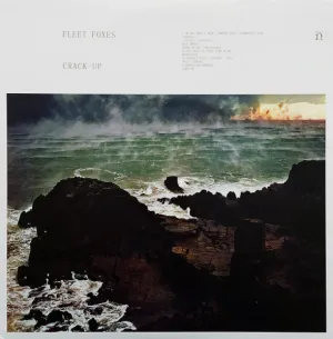 Fleet Foxes C Crack-Up (Arrives in 21 days) hi-fi analog input amp,hi-fi Bluetooth 5.0 amp,hi-fi tube amp with bluetooth