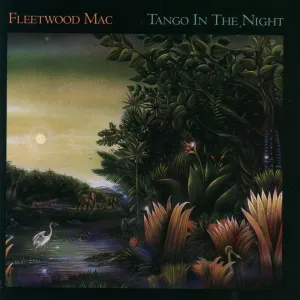 Fleetwood Mac - Tango In The Night (Arrives in 7 Days) hi-fi analog input amp,hi-fi Bluetooth 5.0 amp,hi-fi tube amp with bluetooth