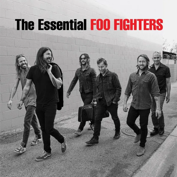 Foo Fighters - The Essential Foo Fighters (Quick Ship) hi-fi analog input amp,hi-fi Bluetooth 5.0 amp,hi-fi tube amp with bluetooth