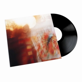 Four Tet: Pause Vinyl LP hi-fi speaker analyzer,hi-fi pink noise calibrator,hi-fi frequency sweep