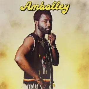 Gyedu Blay Ambolley  Ambolley (Mr Bongo) (Arrives in 30 Days) hi-fi linear power supply,hi-fi digital coaxial input,hi-fi speaker selector