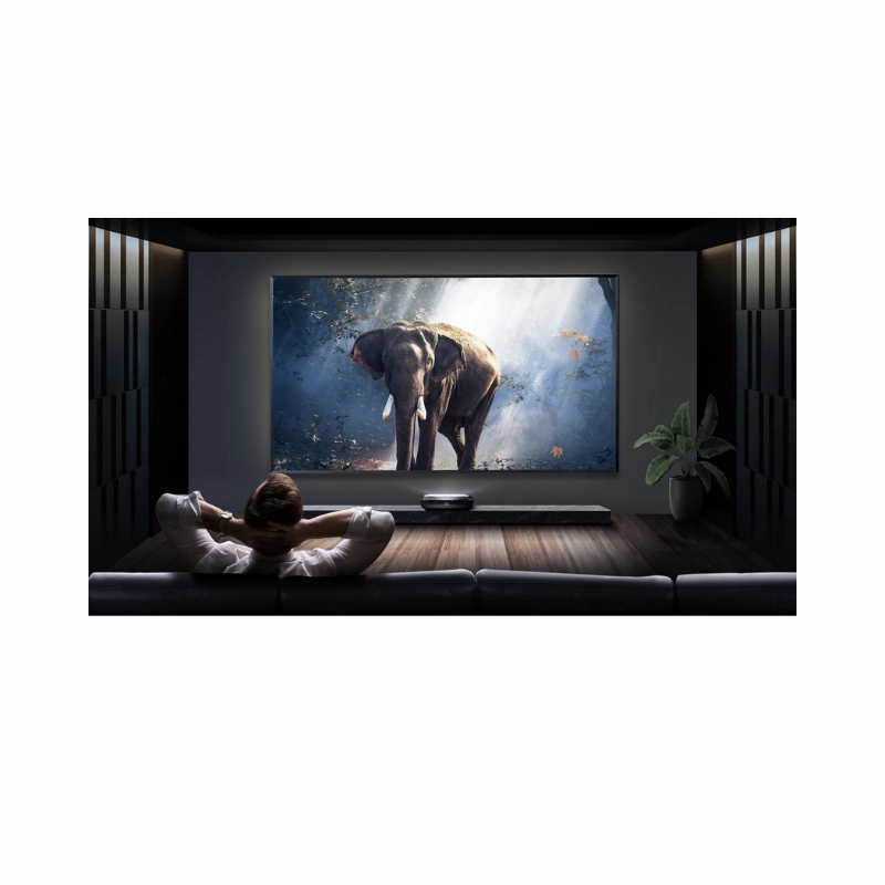 Hisense PL2   DLT100-B1 Bundle
