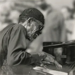 Horace Tapscott With The Pan-Afrikan Peoples Arkestra And The Great Voice Of UGMAA Live At LACMA, 1998 (Mr Bongo) (Arrives in 30 Days) hi-fi linear power supply,hi-fi digital coaxial input,hi-fi speaker selector