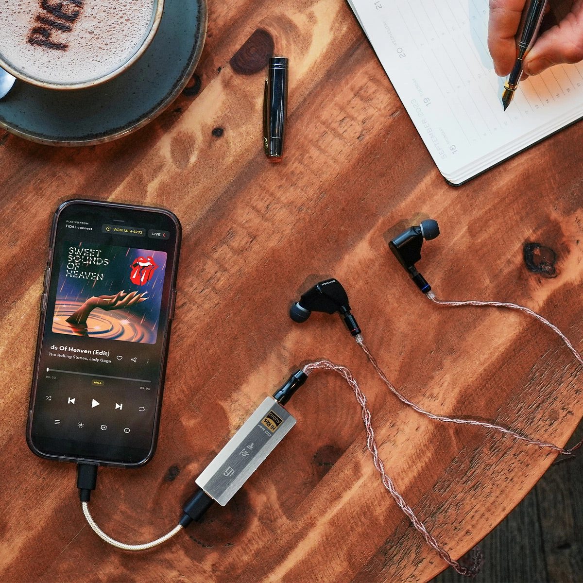iFi Audio GO bar Kensei Portable Hi-Res USB DAC and Preamp