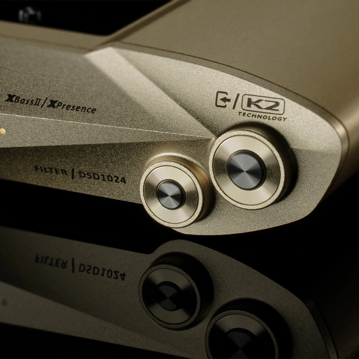 iFi Audio iDSD Valkyrie Portable Amp & DAC