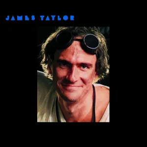 James Taylor   Dad Loves His Work (Blue) (Music On Vinyl) (Arrives in 21 Days) hi-fi linear power supply,hi-fi digital coaxial input,hi-fi speaker selector