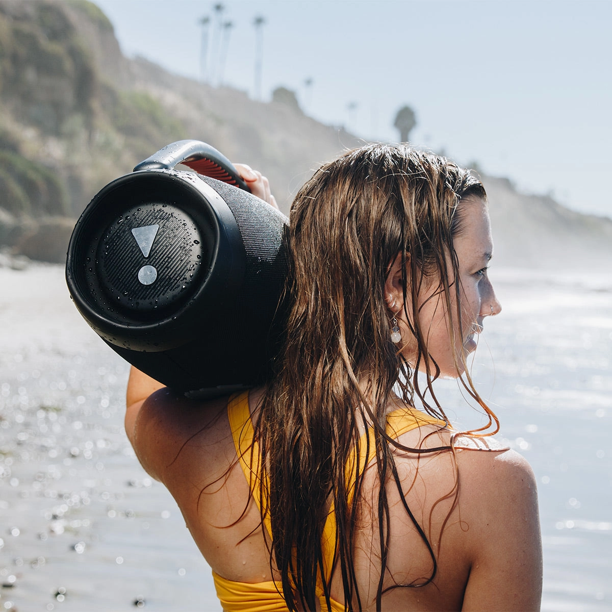 JBL Boombox 3 Waterproof Portable Bluetooth Speaker with gSport Carbon Fiber Case (Black)