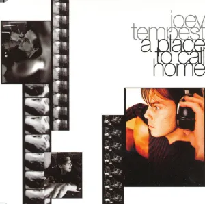 Joey Tempest  A Place To Call Home (Music On Vinyl) (Arrives in 21 Days) hi-fi linear power supply,hi-fi digital coaxial input,hi-fi speaker selector