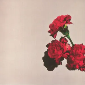 John Legend - Love In The Future (10th Anniversary Edition) (Arrives in 7 Days) hi-fi linear power supply,hi-fi digital coaxial input,hi-fi speaker selector