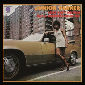 Junior Parker  Love Ain't Nothin' But A Business Goin' On (Mr Bongo) (Arrives in 30 Days) hi-fi linear power supply,hi-fi digital coaxial input,hi-fi speaker selector