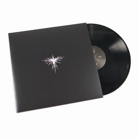 Karen O & Danger Mouse: Lux Prima Vinyl LP hi-fi phono amp,hi-fi hi-res bluetooth,hi-fi amplifier enclosure