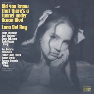 Lana Del Rey C Did You Know That There's A Tunnel Under Ocean Blvd (Arrives in 21 days) hi-fi equalizer with spectrum,hi-fi music system with turntable,hi-fi dual speaker setup