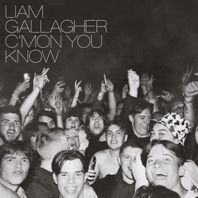 Liam Gallagher - Cmon You Know  (Arrives in 4 Days) hi-fi speaker damping kit,hi-fi panel absorber,hi-fi bass trap