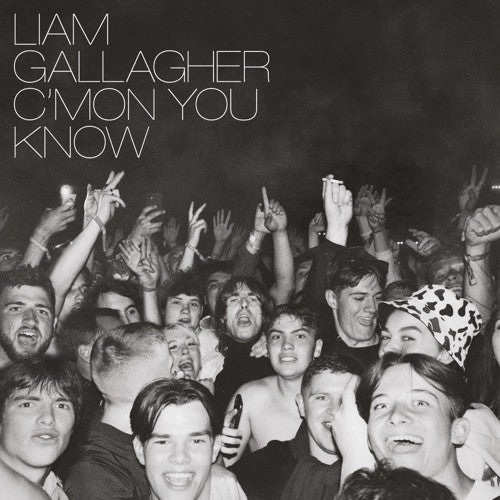 Liam Gallagher - Cmon You Know  (Arrives in 4 Days) hi-fi speaker damping kit,hi-fi panel absorber,hi-fi bass trap