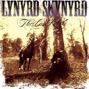 Lynyrd Skynyrd C The Last Rebel (Music On Vinyl) (Arrives in 21 Days) hi-fi music amplifier,hi-fi bluetooth receiver with aptX,hi-fi cd transport