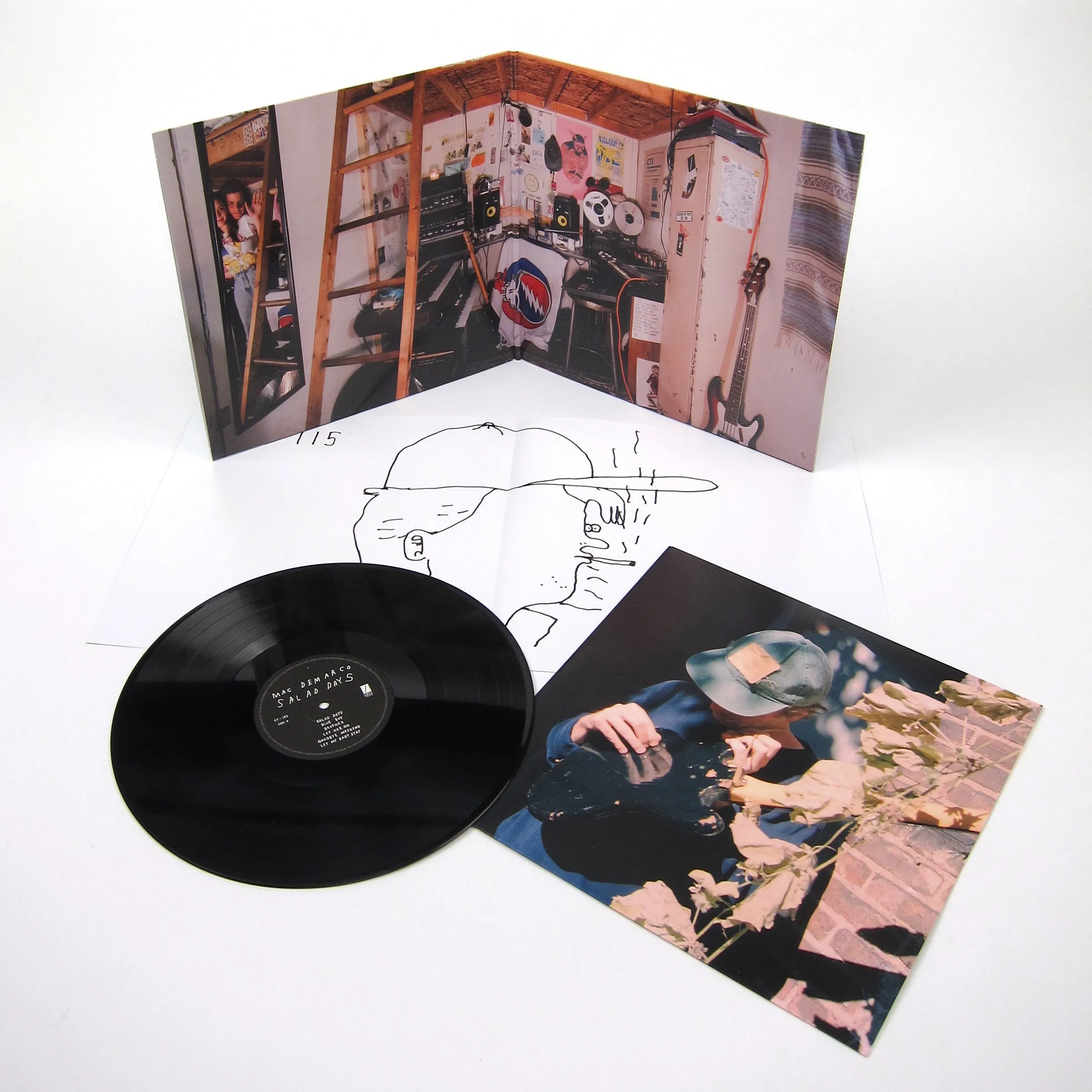 Mac DeMarco: Salad Days Vinyl LP