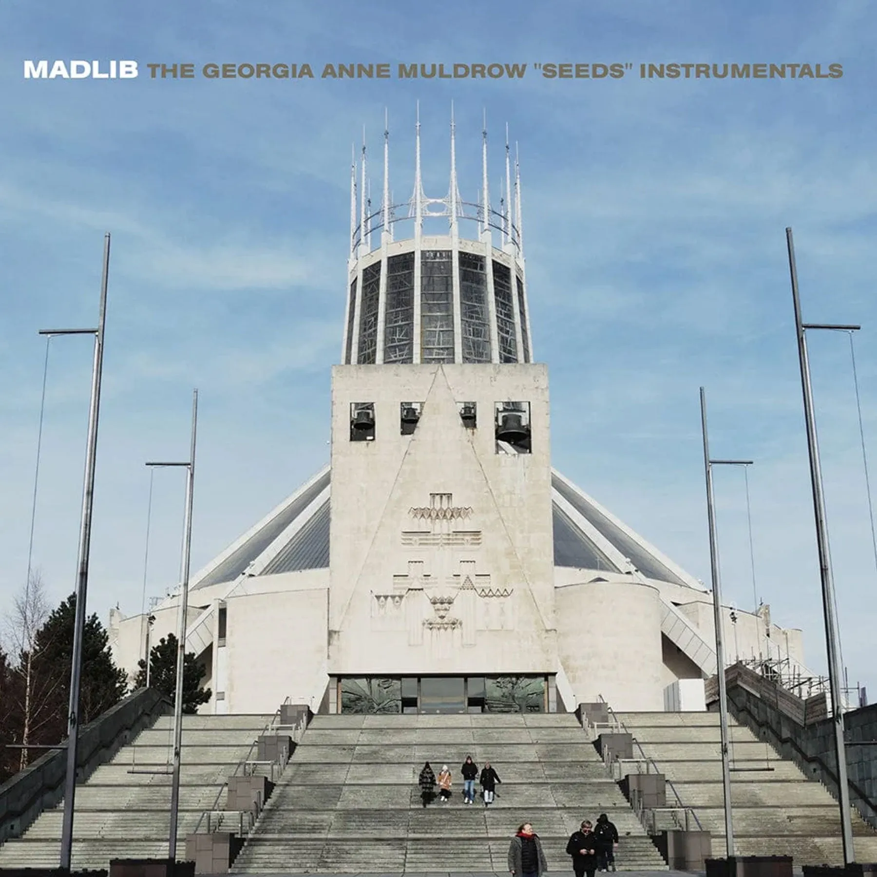 Madlib: Seeds Instrumentals (Georgia Anne Muldrow) Vinyl LP - PRE-ORDER