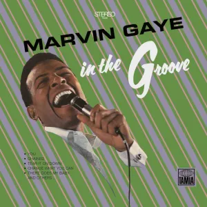 Marvin Gaye  In The Groove (Arrives in 4 days)