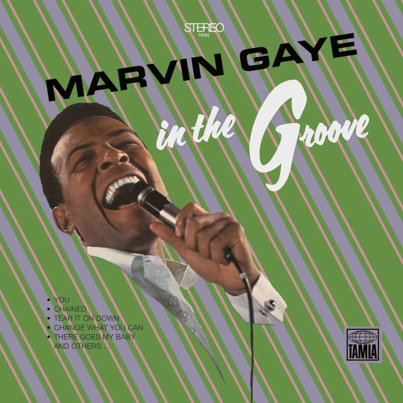 Marvin Gaye  In The Groove (Arrives in 4 days)