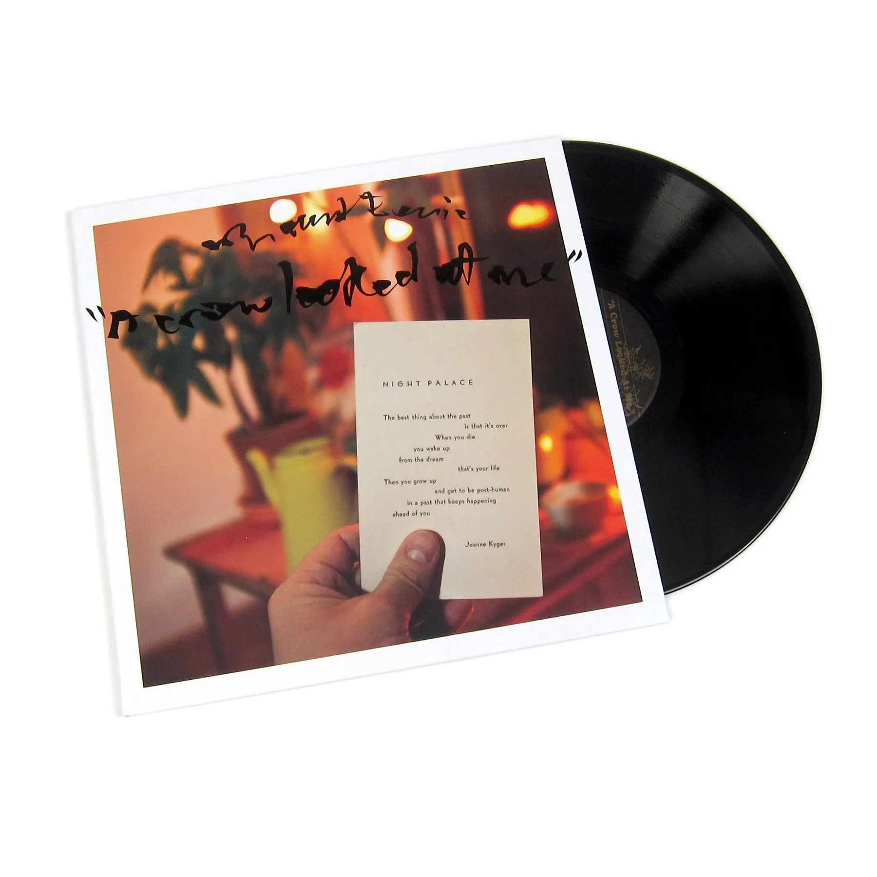 Mount Eerie: A Crow Looked At Me Vinyl LP hi-fi soundproof solution,hi-fi wall mount speakers,hi-fi ceiling speakers