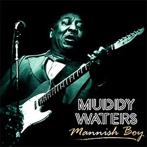 Muddy Waters C Mannish Boy  (Arrives in 4 days ) hi-fi amp for vinyl,hi-fi class A tube amp,hi-fi amp with phono input
