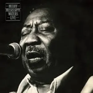 Muddy Waters  Muddy "Mississippi" Waters Live (Music On Vinyl) (Arrives in 21 Days) hi-fi linear power supply,hi-fi digital coaxial input,hi-fi speaker selector
